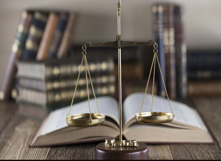 Bachelor of Legislative Law (B.A. + L.L.B.) Integrated 5 Years Course - Image 2